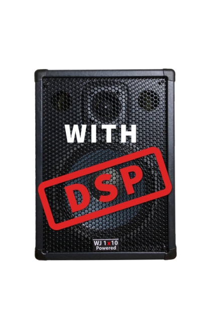 WJ 1×10 single Powered Cabinet with DSP for bass guitar players, upright bass & double bass players.
