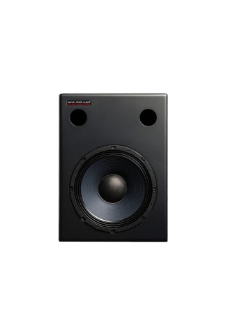 Wayne Jones Audio 10inch Recording Studio Monitor 500 Watt Subwoofer